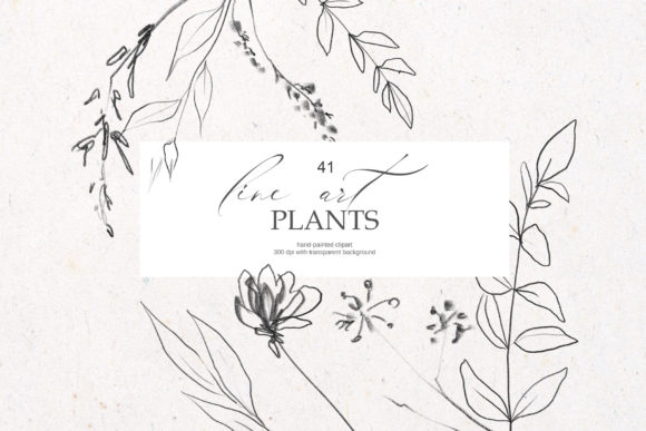 Floral Line Art Clipart: The Quiet Power of Minimalist Beauty