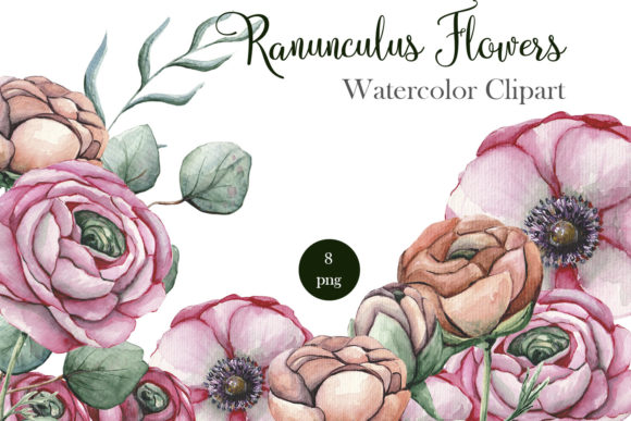 The Charm of Ranunculus Floral Watercolor Clipart