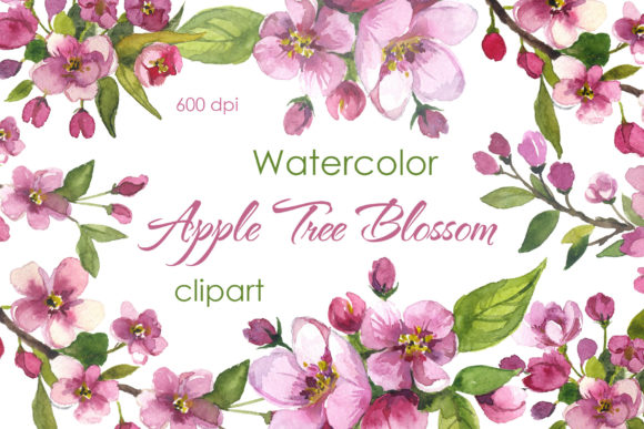 Watercolor Floral Clipart PNG Apple PNG: Your Digital Toolkit for Vintage Romance